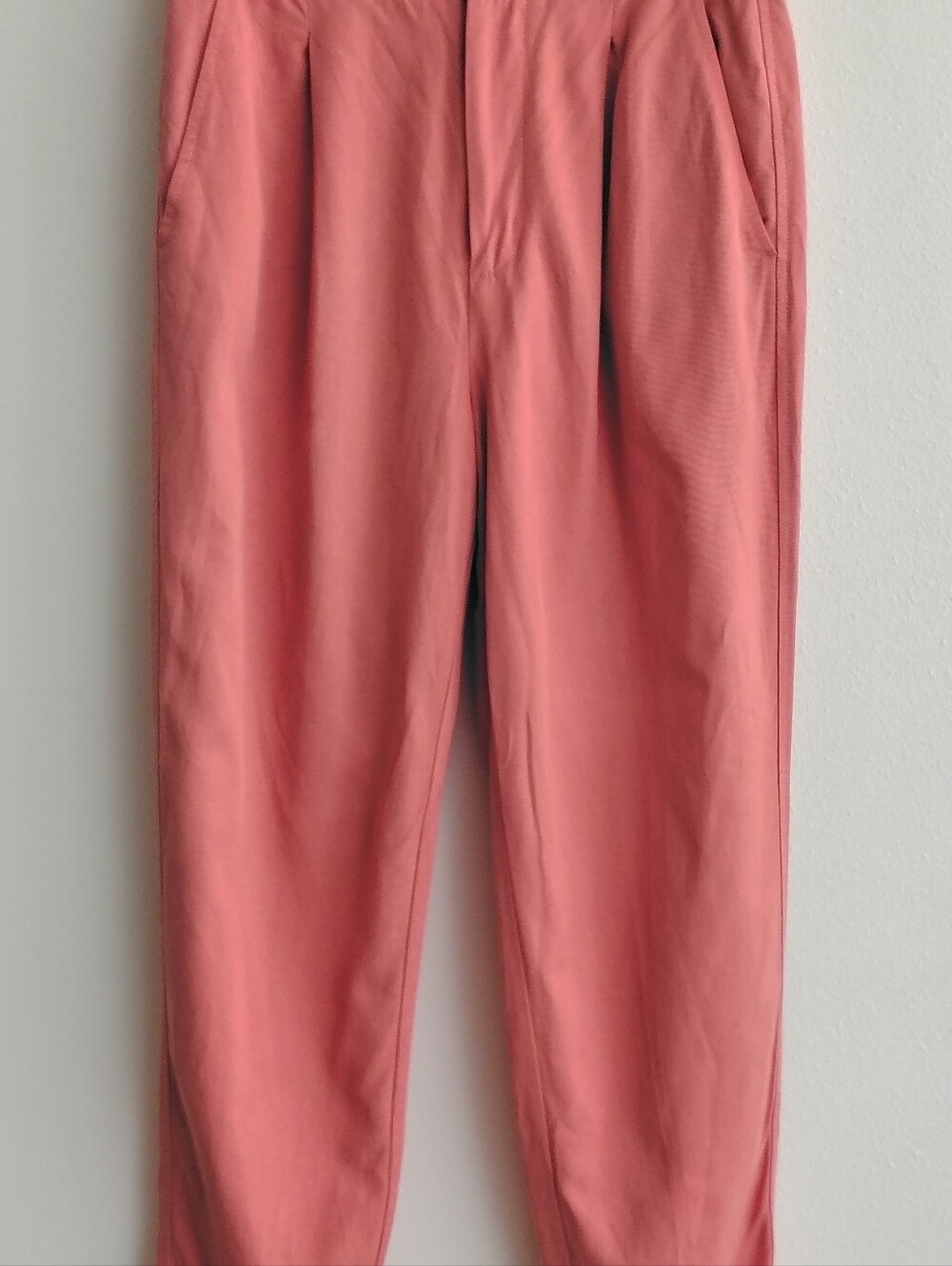 Everlane Pants Size 4 Salmon Pink Pleated High Waist Casual Trousers